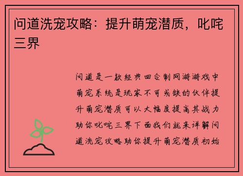 问道洗宠攻略：提升萌宠潜质，叱咤三界